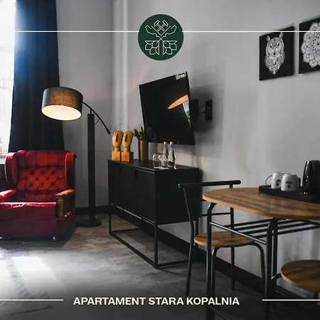 Przy Zamkowej W Wałbrzychu Apartament *